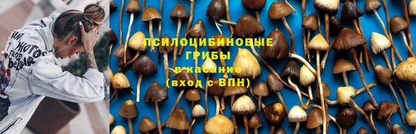прущая мука Аркадак