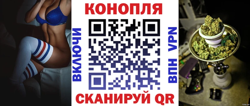 Купить где  Сунжа  Каннабис ГИДРОПОН 
